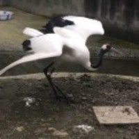 Bb2bb513ac31d42be4efd24069c5a12349343733