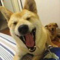 504d2cfc7310fea652f4fc8b0339a2ed102e6131