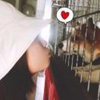 2598d35de2d8aeb721e1ae51fc900bb37be7bcf5