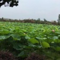 D32a2fc74ab5b242115d3a9e5cf5ea48ac6dd7cb