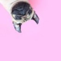 B9a3bd5fab5cec6b03ab914f199d52b942b54540