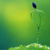 1f51ea65b89827231cde699179747eadea0d09af