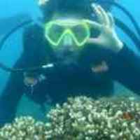 268ef8a33a6683e29b9072ea48236f89ad705cca