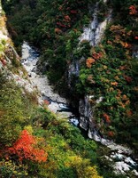 C30999039e2350a41e7c47e4f340cc5ad9fba75a