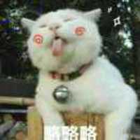 9a7d131de8ea99a46f61c70931897076ace7fcd7