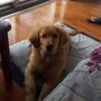 33235ba158015c2b81eba2b8ec2ee12db82d37fe