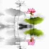 4c92c2738ef70ff83bebdeec6b33ee1d3c478414