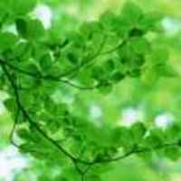 91daa2f3b60722101b58056e926f3b847b877ddb