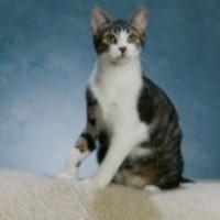 3773caf1ebe61f63d675ab09fa8f85c7168e20c4