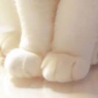 Ded9d8f2f65c2f34da41594d8da27fe096593833