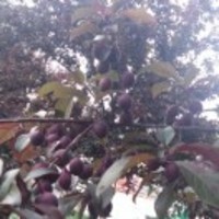 1a94584efa7feb97d1056ead2cba4b040332d0b8