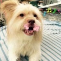 71e06054ee59b07147b9ced83c9108134d8046d1