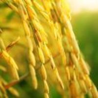 05f31a9527cd1913067770fd43e7d7dd33a2ac17