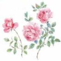 2565d8d19dab839d5448cebab21b1168ddcc6c28