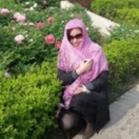 0935fe07743aa6b46ead2597b00869404eef5e2d