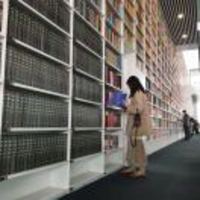 Ca7ff55bca9ac74f5bcda9a1fca28d403fad20da