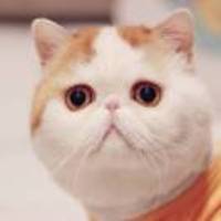 Bfc85572027dd706ca5207f17a93948b473a47fc