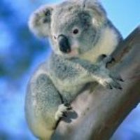 B28d625a2ac4f64b6c279827e074e0575e2cd511