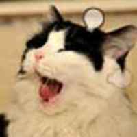 139af06c3443a27eba91e103e8dbb44fb74a7de1