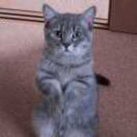 62090fc554e56bd61dc1edc40ecb0eab24c89b1a