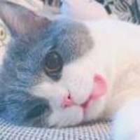 7e2ddada702dda7e45b0c767c79b0814eb137bb2