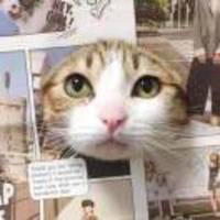 2f0b57561c3049fa5bf5dcbf5421e41c50d918e0