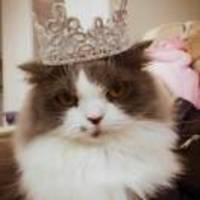 66340d62723c5d55c847b50acab78ecc95888ff9