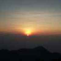 D510d088de0d40067dc90220115981f0e7807c4d