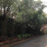 E76dac568c862f54cc570a7f032410b1133c4f2a