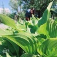 77c62e8b4d5014c73463046f981194c97f07a5f3