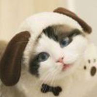 9f9a86085c0bc1692a586dc4c13110c82b5f49cc