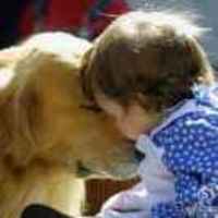 3bafdb71721c283ba23df54ce8c24fc2785a73fc