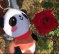 59515afa91a622290e348296816b5d85f14026c8