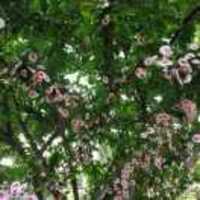 Ac42b605873e18cb2ed6a8196bd2b0d9152f47ab