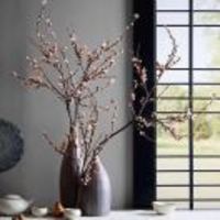 E47a04e50b386400f152b3ef7a8a2bcbb25d80b2