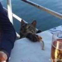 1ed5bf9b6dde7848a68ac4e2a03da2e44e58486e