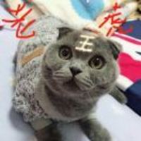 Ed4f200d364b5bf8c97d6737f89201faf67f2880