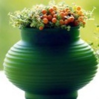 258483b482505e306fd12459c425b6a815ae8ce5