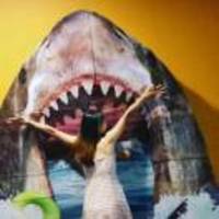 31b42e9739a6da96982f5fde72fc993a1f03992c