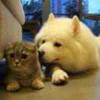 E75cee9dc13aa0c1f65c5d3b42ea079e848cb97b