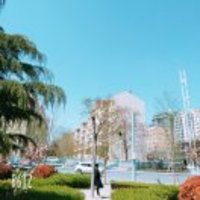 75f60503552413b4c81dc3ffb515c23fbe954cbf