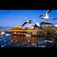 22c4047910a2a5c4bf7ab70b7fd09d51b3da604e