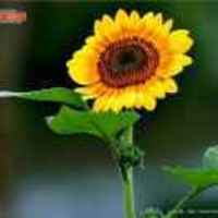 4f97b7fd3695d4adaf14e49dee4ebecc9209b173