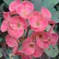 5b6a7b28459a158769838b1a44a6ffad06b3b19a