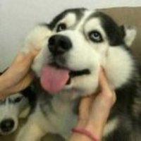 B7ab1351c26ee7e1b29d39fcb96fdaf147a38444