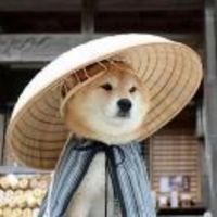 Cfff3341820b36530e6d08d631239252842ffe9b