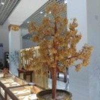 D555b9df057455f81d58ef91f6ce139d18de1fca