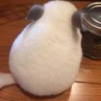 F569740c29d94b65e45bf68198a967f00d6c5925