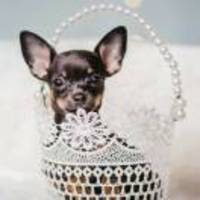 990e94548a41b907c141fd9695c2432c4500baac