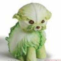 C36bfedfde4c8069ffa53f7fc4a882980b609c17